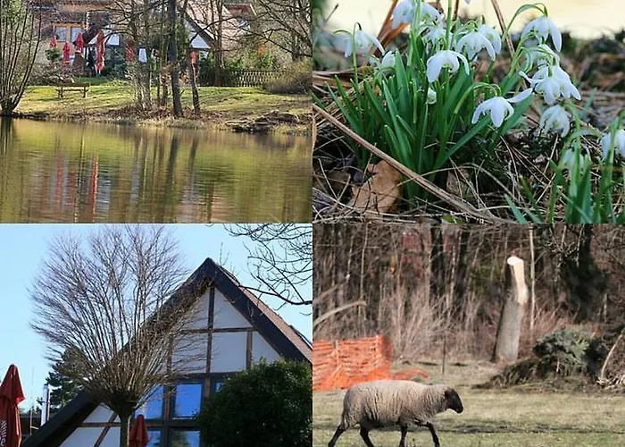 Tonmuehle ホテル イルセンブルク